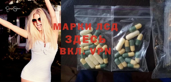 прущие грибы Алзамай