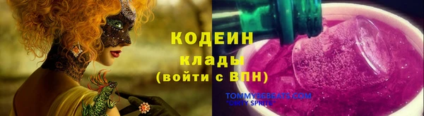 прущие грибы Алзамай