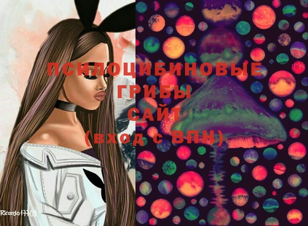 дживик Алексеевка