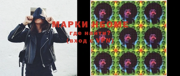 прущие грибы Алзамай