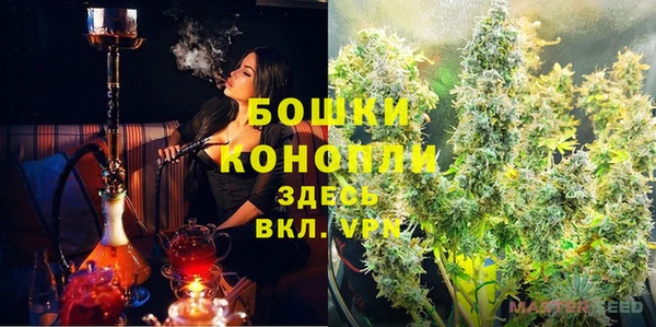 бошки Алексин