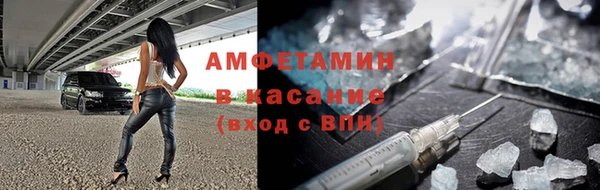 прущие грибы Алзамай