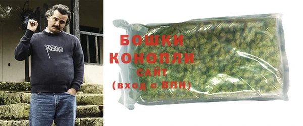 бошки Алексин