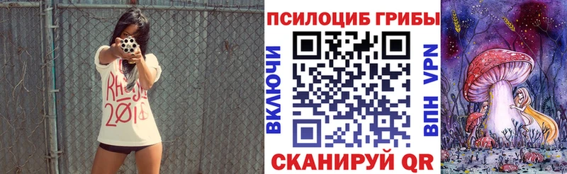 мега как войти  Алексеевка  Псилоцибиновые грибы прущие грибы  наркотики 